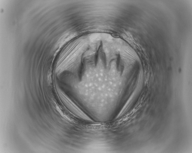 X0000088370050200706121130