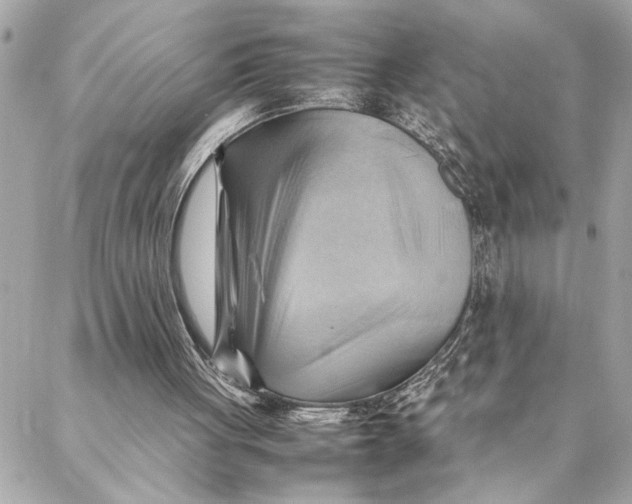 X0000088370051200706121130