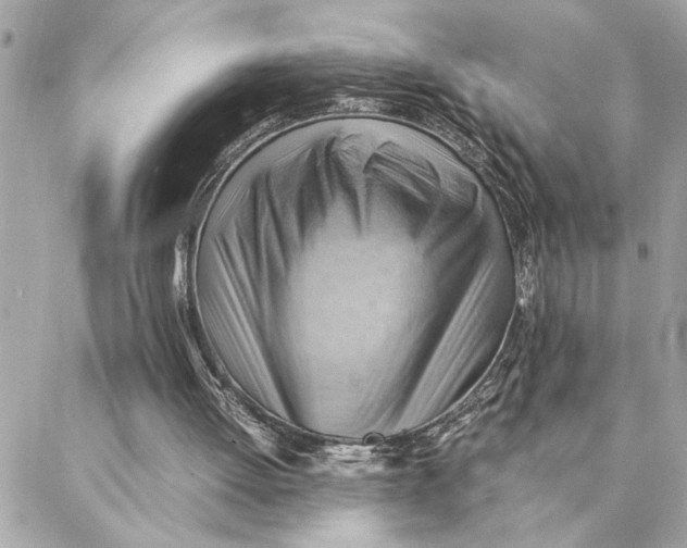 X0000088370052200706121130