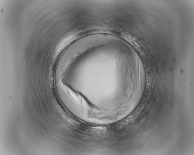 X0000088370053200706121130