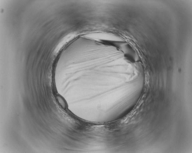 X0000088370054200706121130