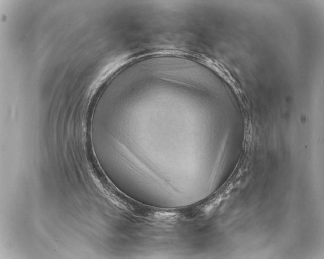 X0000088370055200706121130