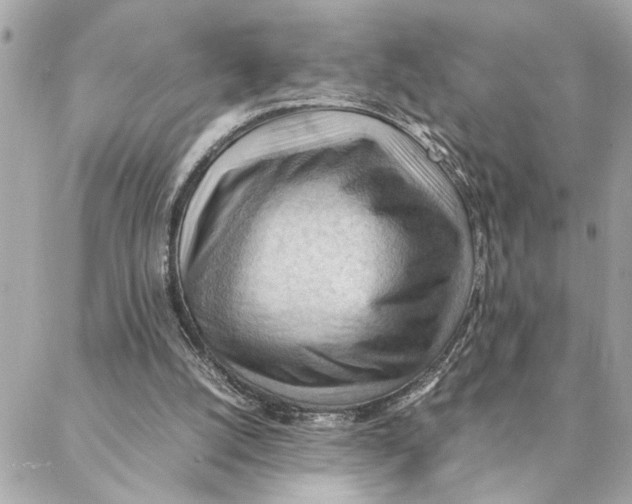 X0000088370056200706121130