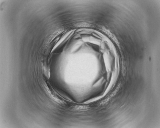 X0000088370057200706121130