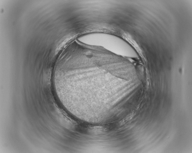 X0000088370058200706121130