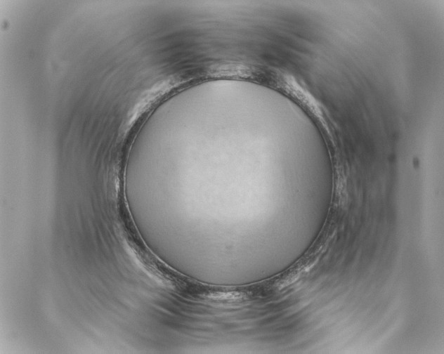 X0000088370059200706121130