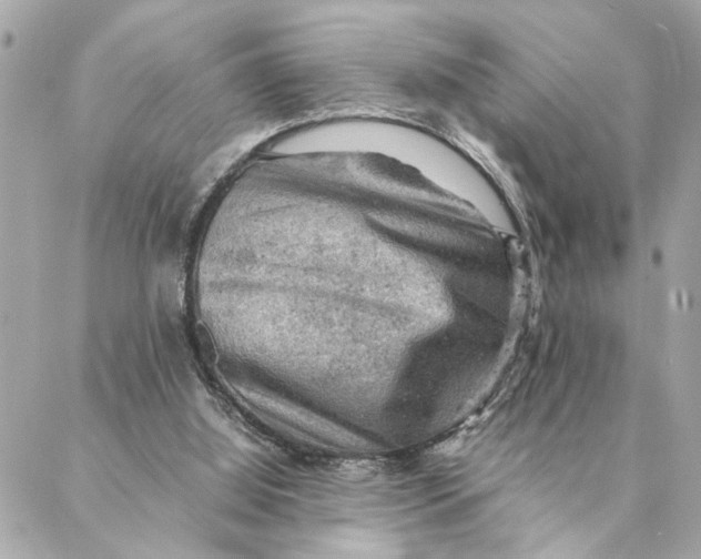 X0000088370060200706121130