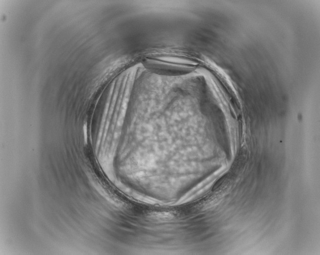 X0000088370061200706121130