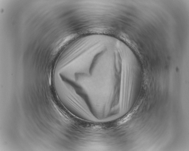 X0000088370062200706121130