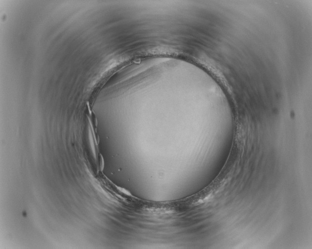 X0000088370063200706121130