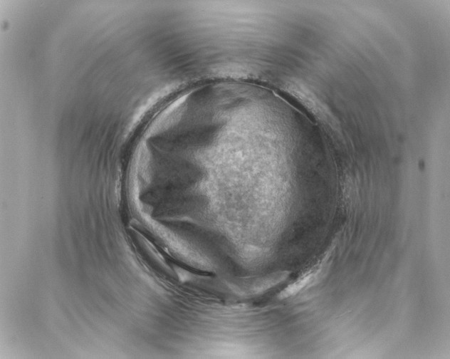 X0000088370064200706121130