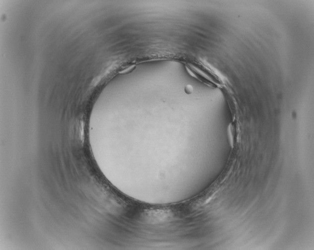 X0000088370067200706121130