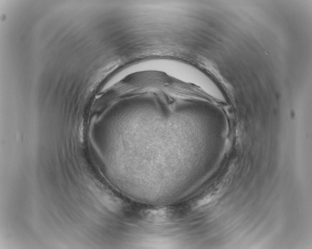 X0000088370068200706121130