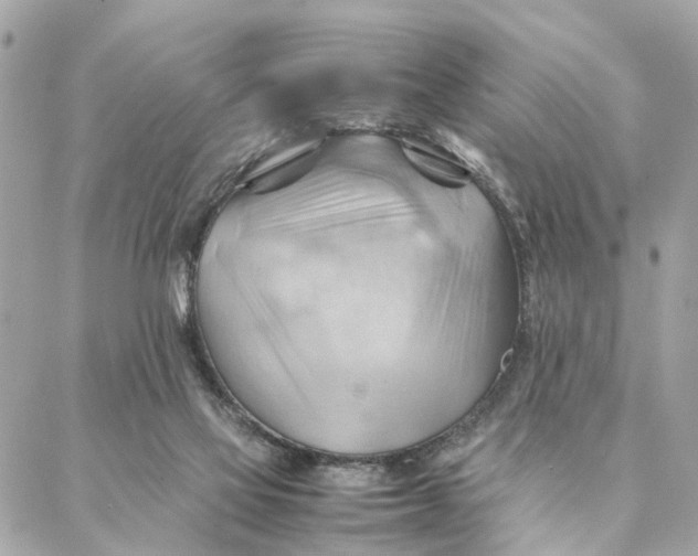 X0000088370069200706121130