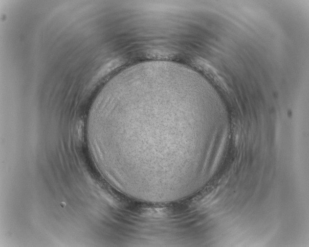 X0000088370071200706121130