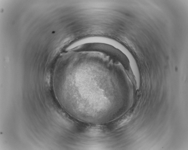 X0000088370072200706121130