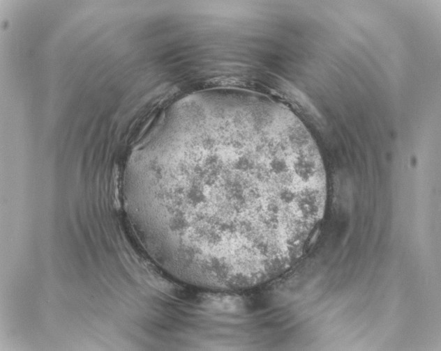 X0000088370073200706121130