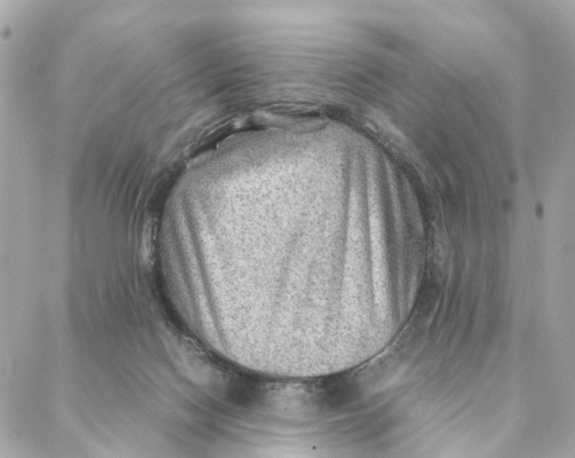 X0000088370074200706121130