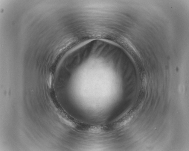 X0000088370076200706121130