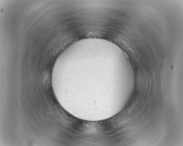 X0000088370079200706121131