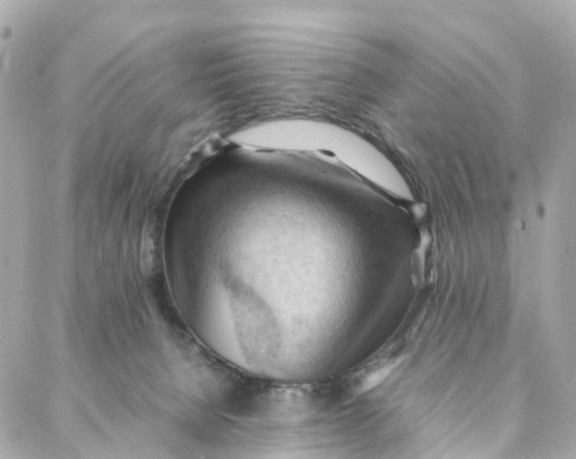 X0000088370080200706121131