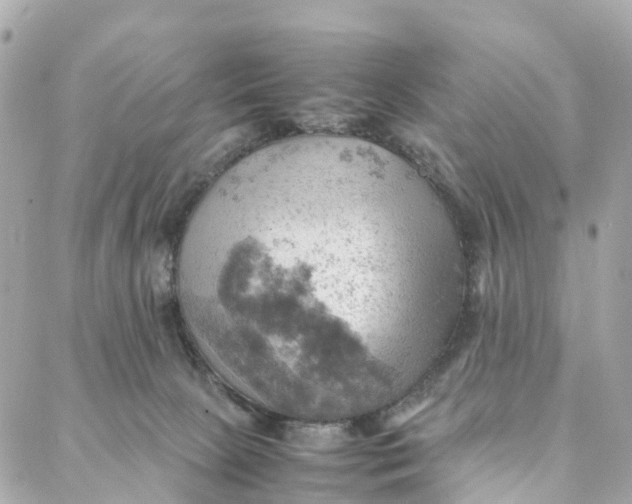 X0000088370081200706121131