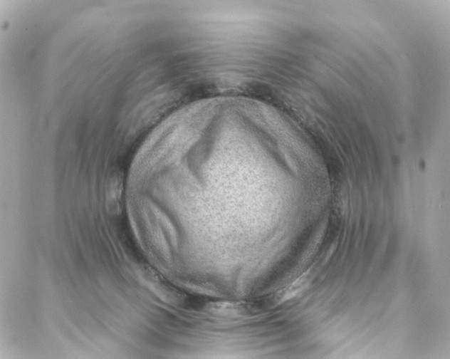 X0000088370082200706121131