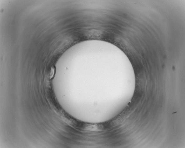 X0000088370083200706121131