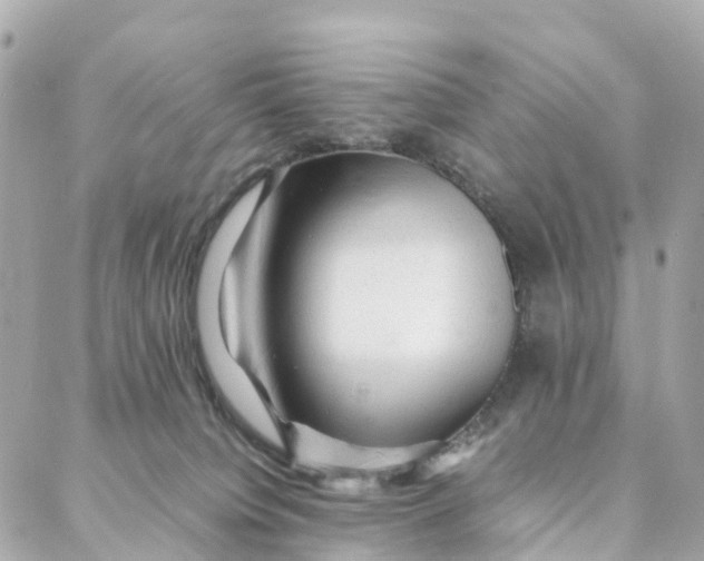 X0000088370084200706121131