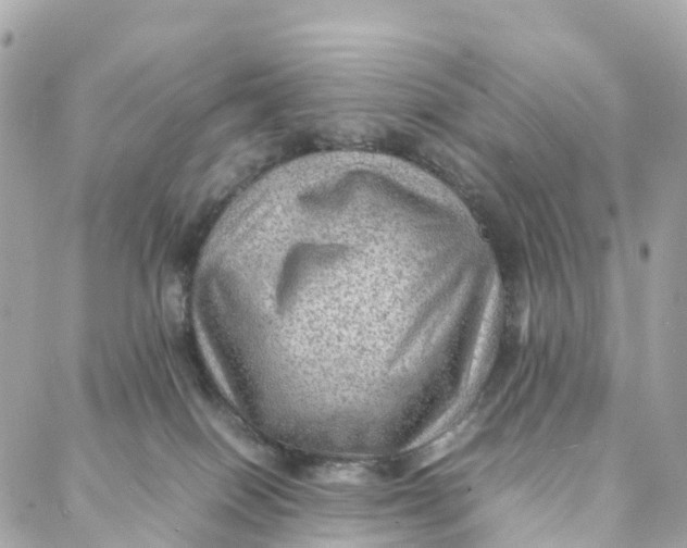 X0000088370086200706121131