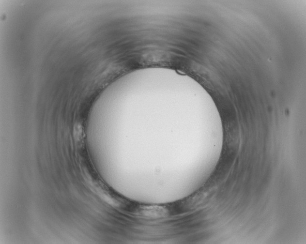 X0000088370087200706121131