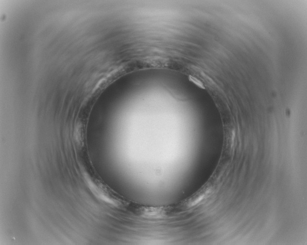 X0000088370088200706121131