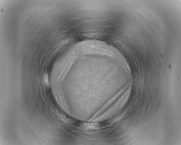 X0000088370089200706121131