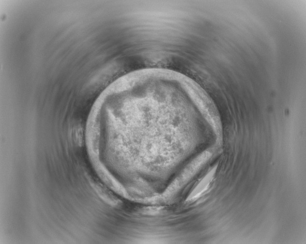 X0000088370090200706121131