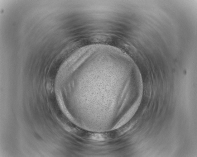 X0000088370091200706121131