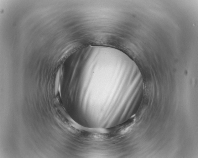 X0000088370092200706121131