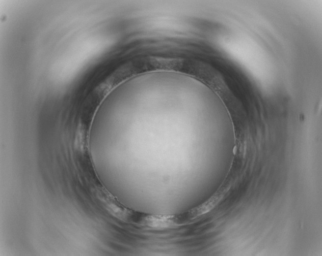 X0000088370093200706121131