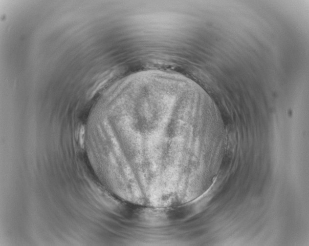 X0000088370094200706121131