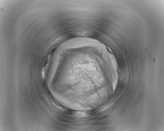 X0000088370095200706121131