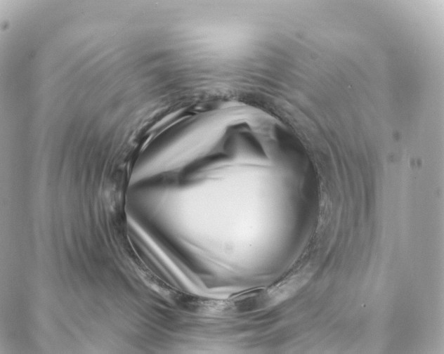 X0000088370096200706121131