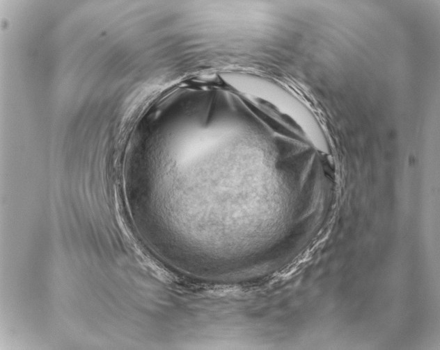 X0000088370097200706121130