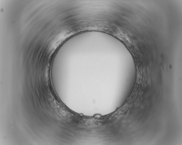 X0000088370098200706121130