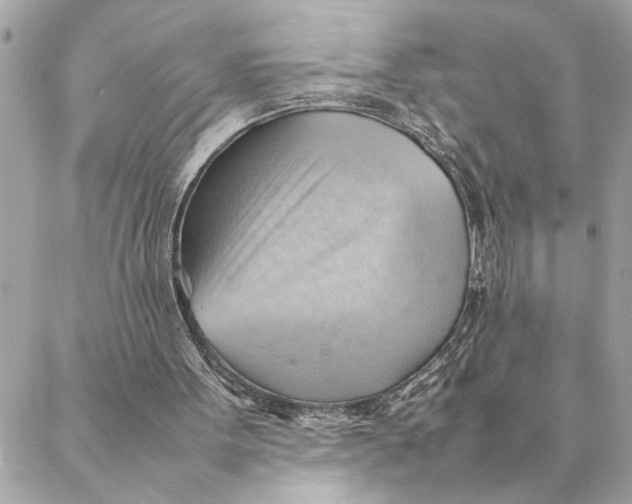 X0000088370099200706121130