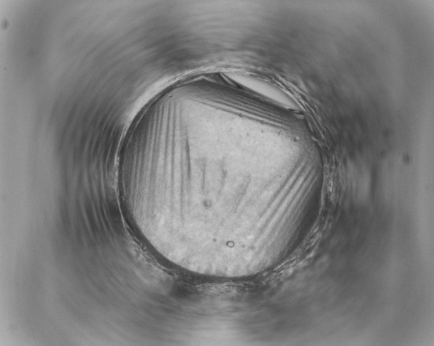 X0000088370100200706121130