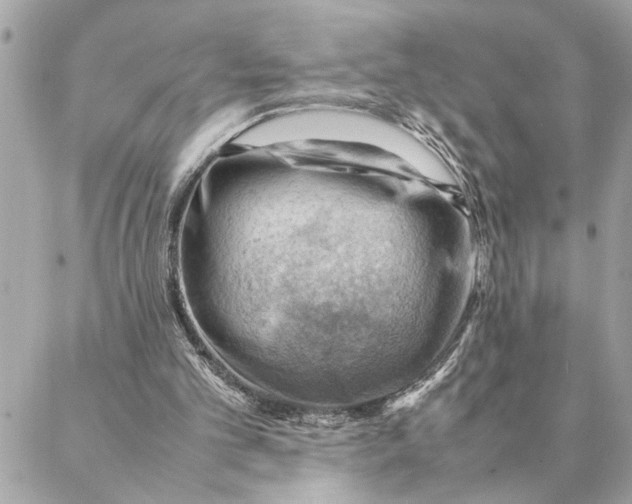 X0000088370101200706121130