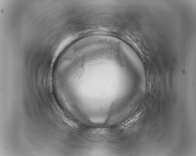 X0000088370102200706121130