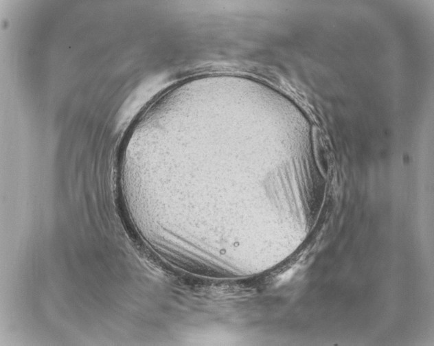 X0000088370103200706121130