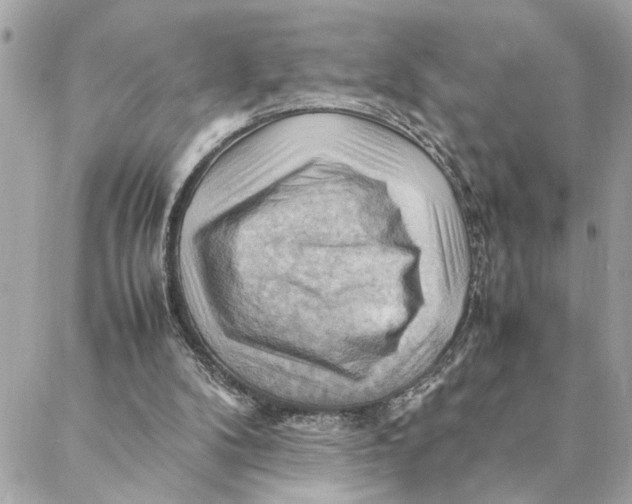 X0000088370104200706121130