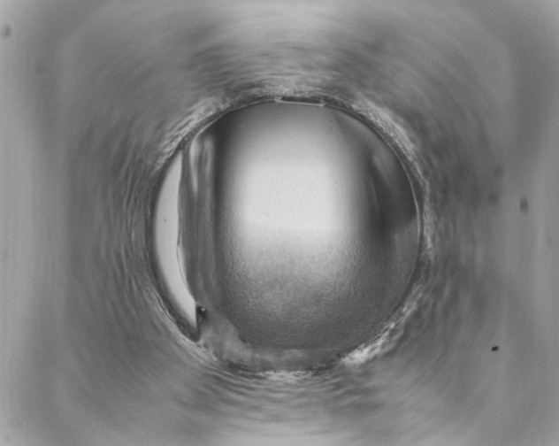 X0000088370105200706121130