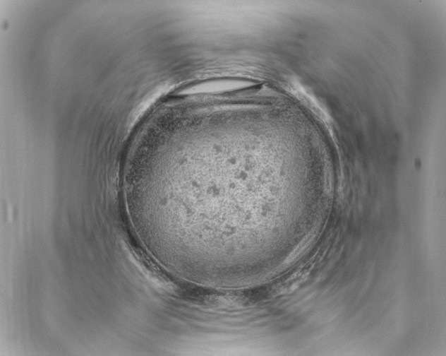 X0000088370107200706121130